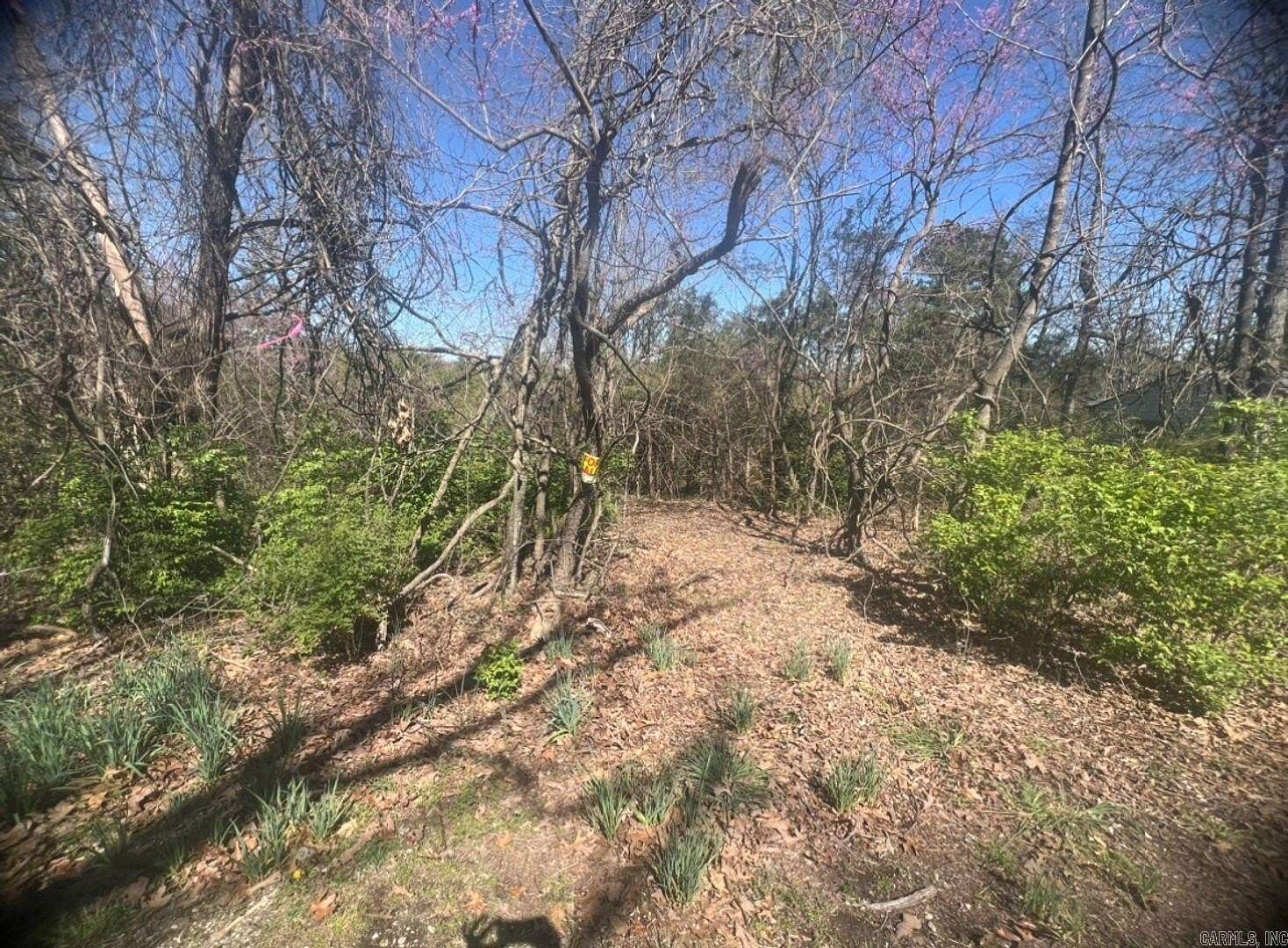 0.29 Acres of Residential Land for Sale in Horseshoe Bend, Arkansas