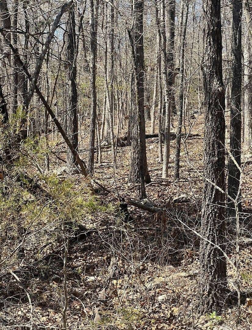 0.31 Acres of Residential Land for Sale in Horseshoe Bend, Arkansas