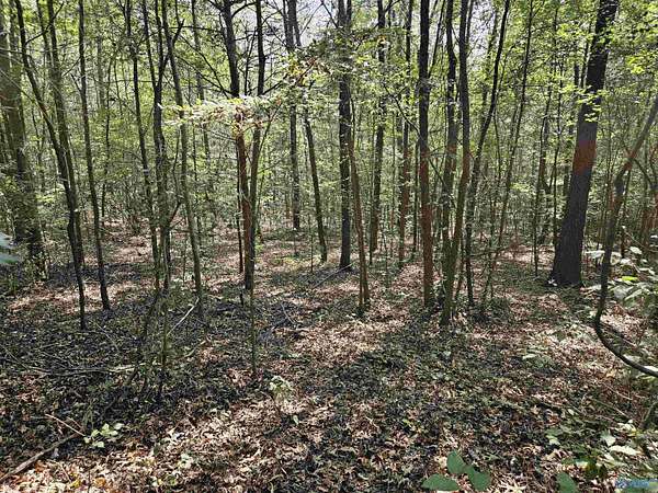 18 Acres of Land for Sale in Gallant, Alabama