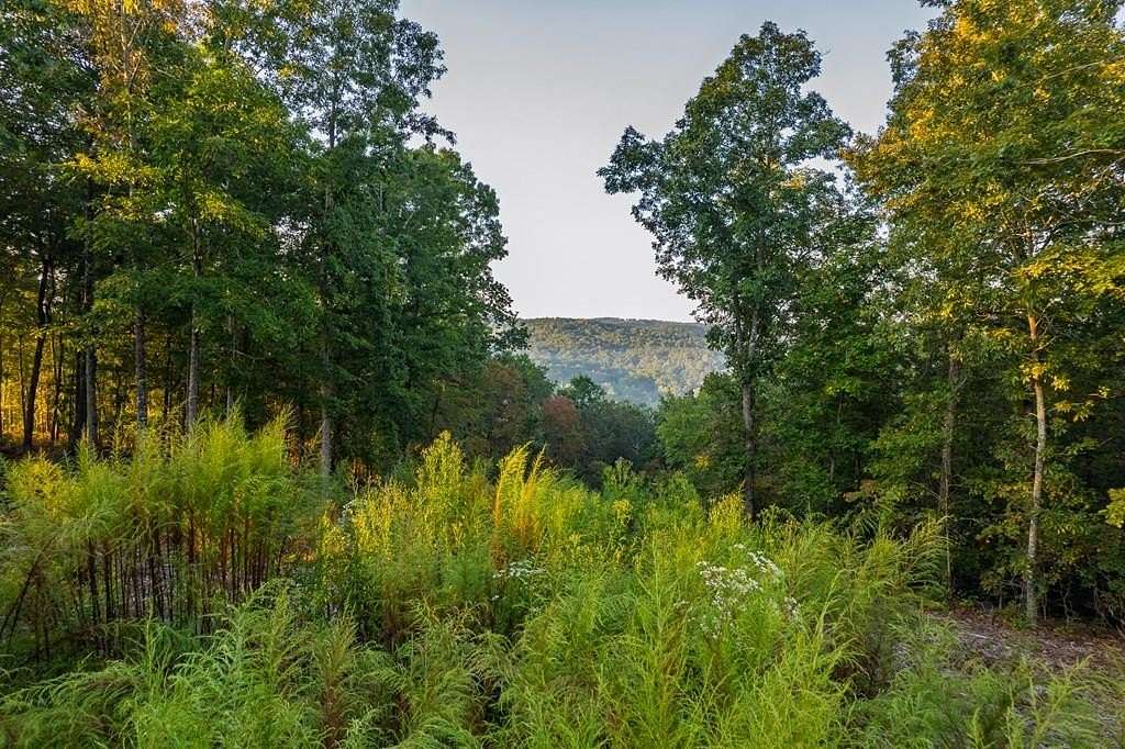 3.56 Acres of Residential Land for Sale in Talking Rock, Georgia