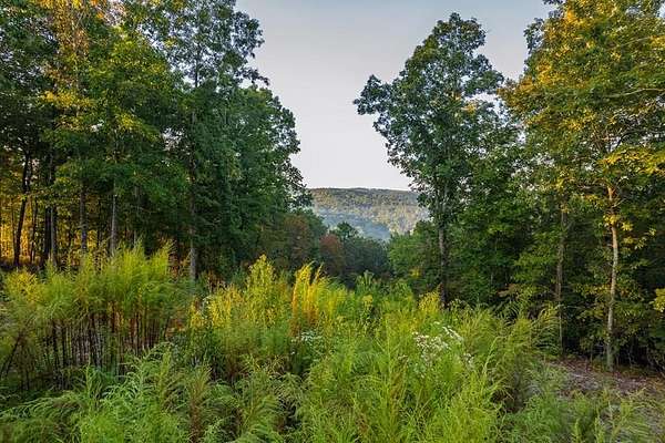 3.56 Acres of Residential Land for Sale in Talking Rock, Georgia