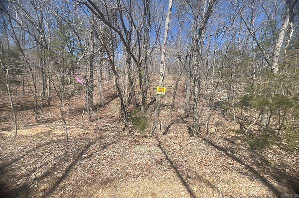 0.28 Acres of Residential Land for Sale in Horseshoe Bend, Arkansas