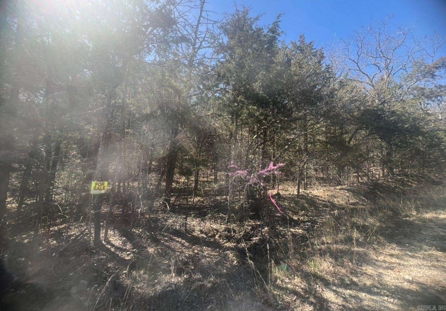 0.28 Acres of Residential Land for Sale in Horseshoe Bend, Arkansas