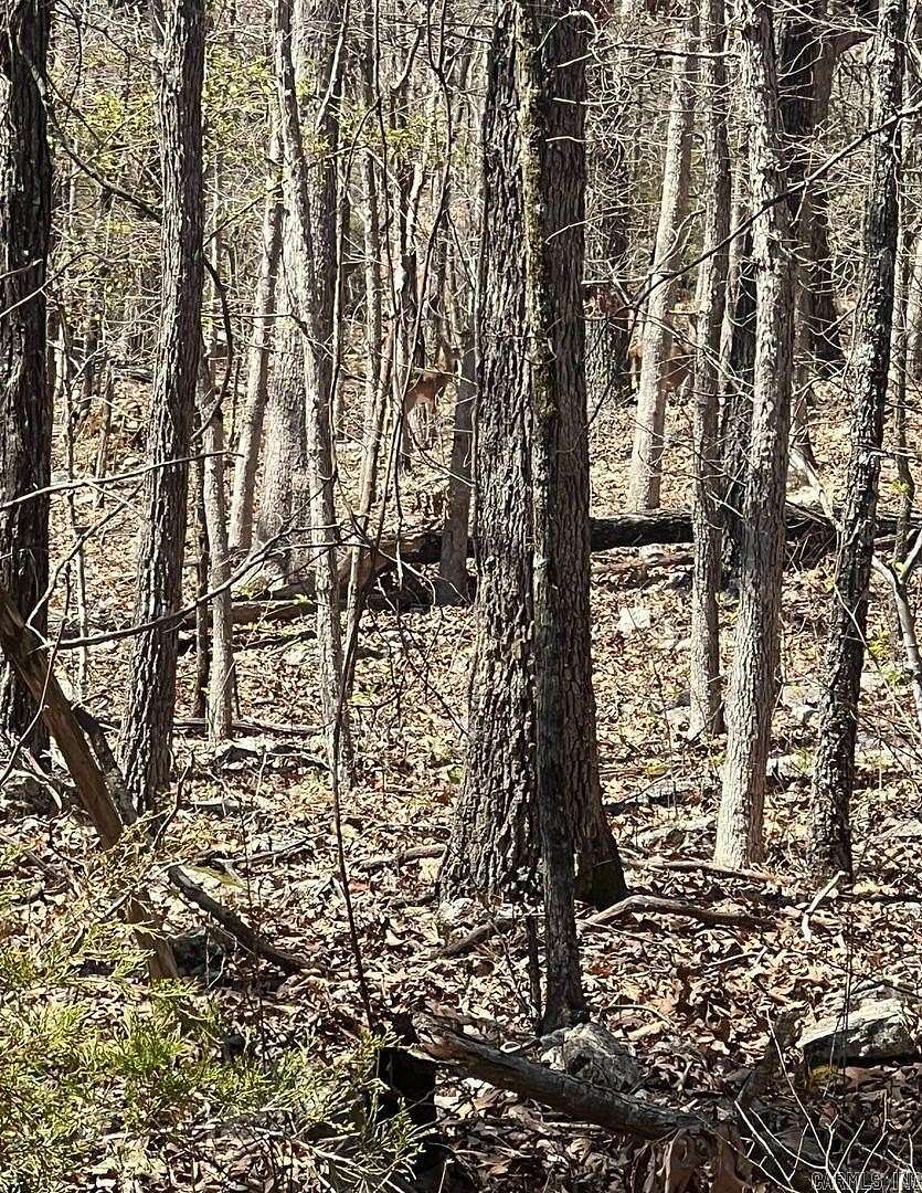 0.4 Acres of Residential Land for Sale in Horseshoe Bend, Arkansas