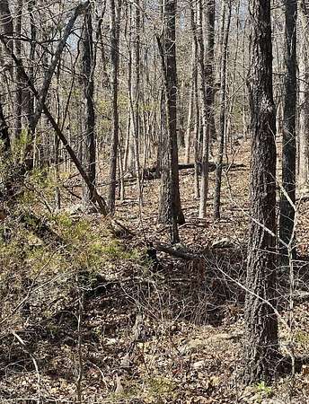0.32 Acres of Residential Land for Sale in Horseshoe Bend, Arkansas