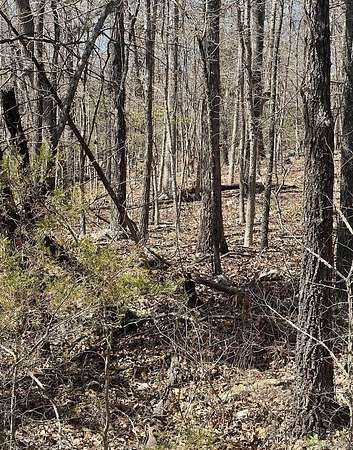 0.56 Acres of Residential Land for Sale in Horseshoe Bend, Arkansas