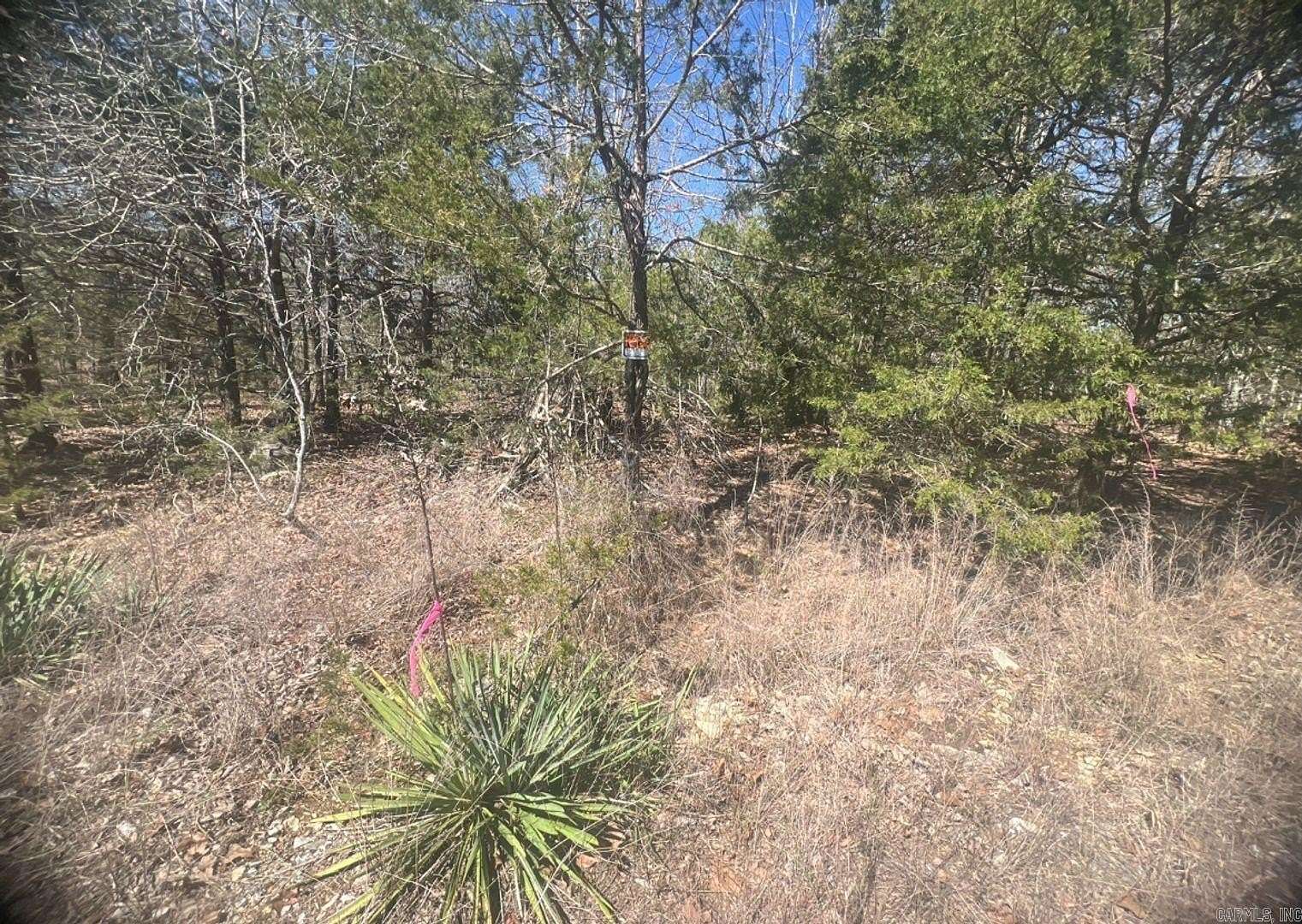 0.32 Acres of Residential Land for Sale in Horseshoe Bend, Arkansas