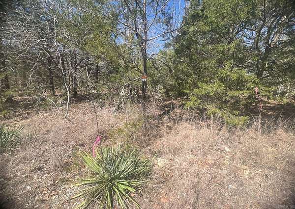 0.32 Acres of Residential Land for Sale in Horseshoe Bend, Arkansas