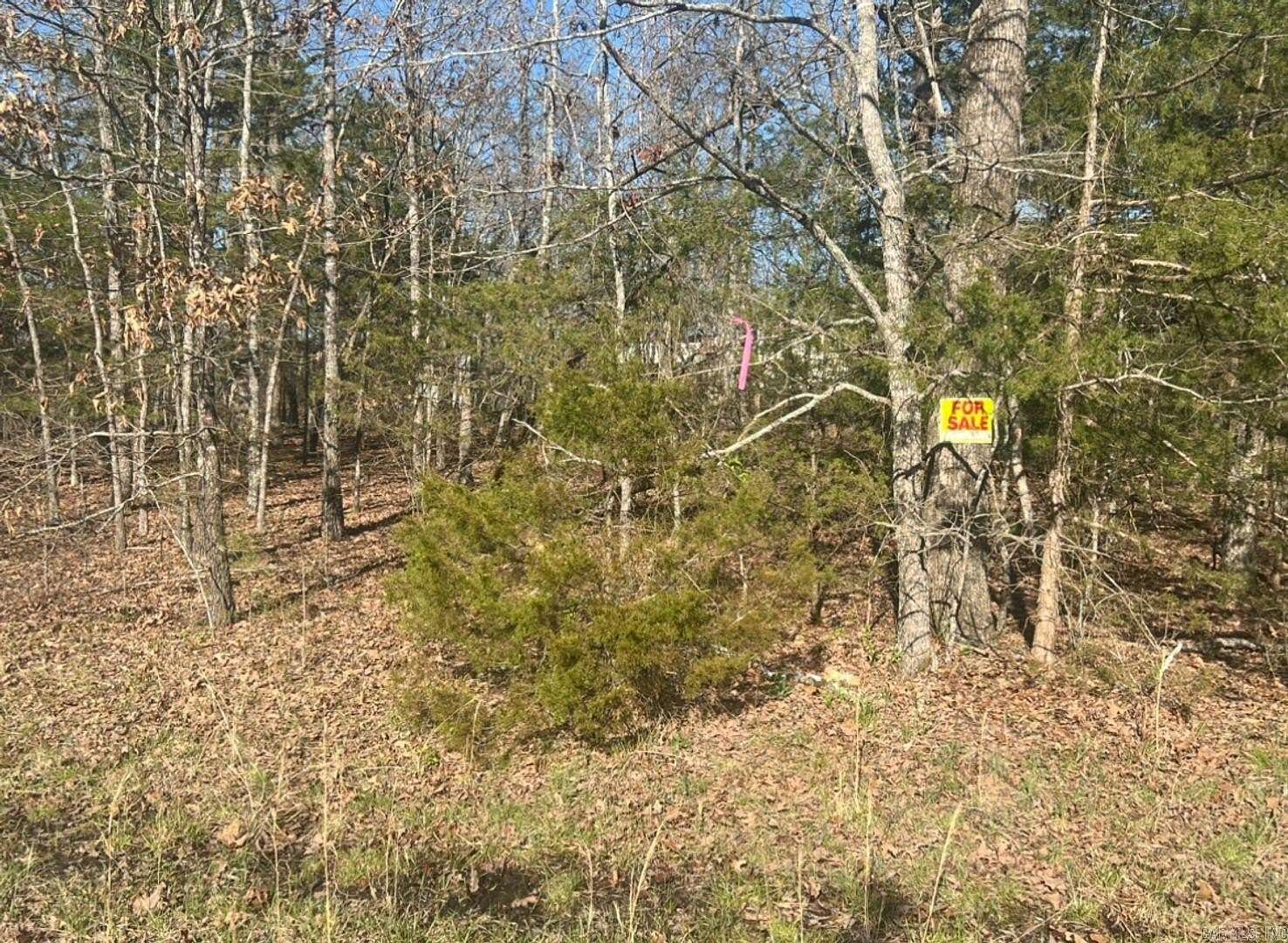 0.25 Acres of Residential Land for Sale in Horseshoe Bend, Arkansas