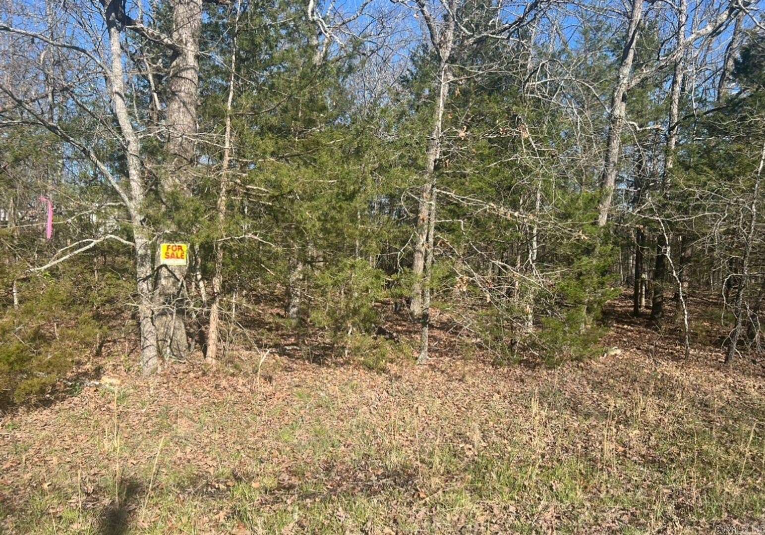 0.3 Acres of Residential Land for Sale in Horseshoe Bend, Arkansas