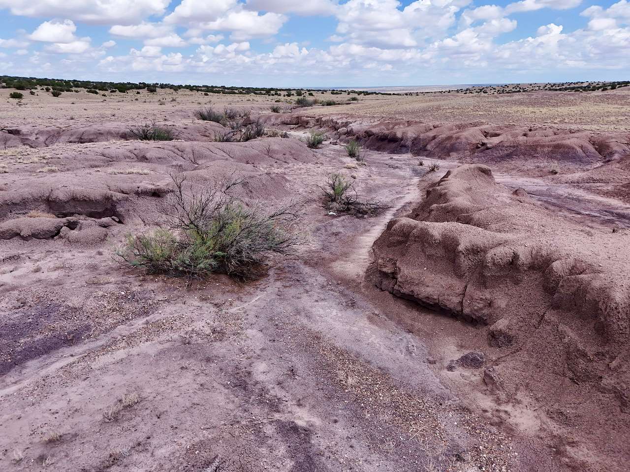 20 Acres of Recreational Land for Sale in St. Johns, Arizona