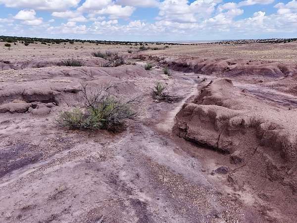 20 Acres of Recreational Land for Sale in St. Johns, Arizona