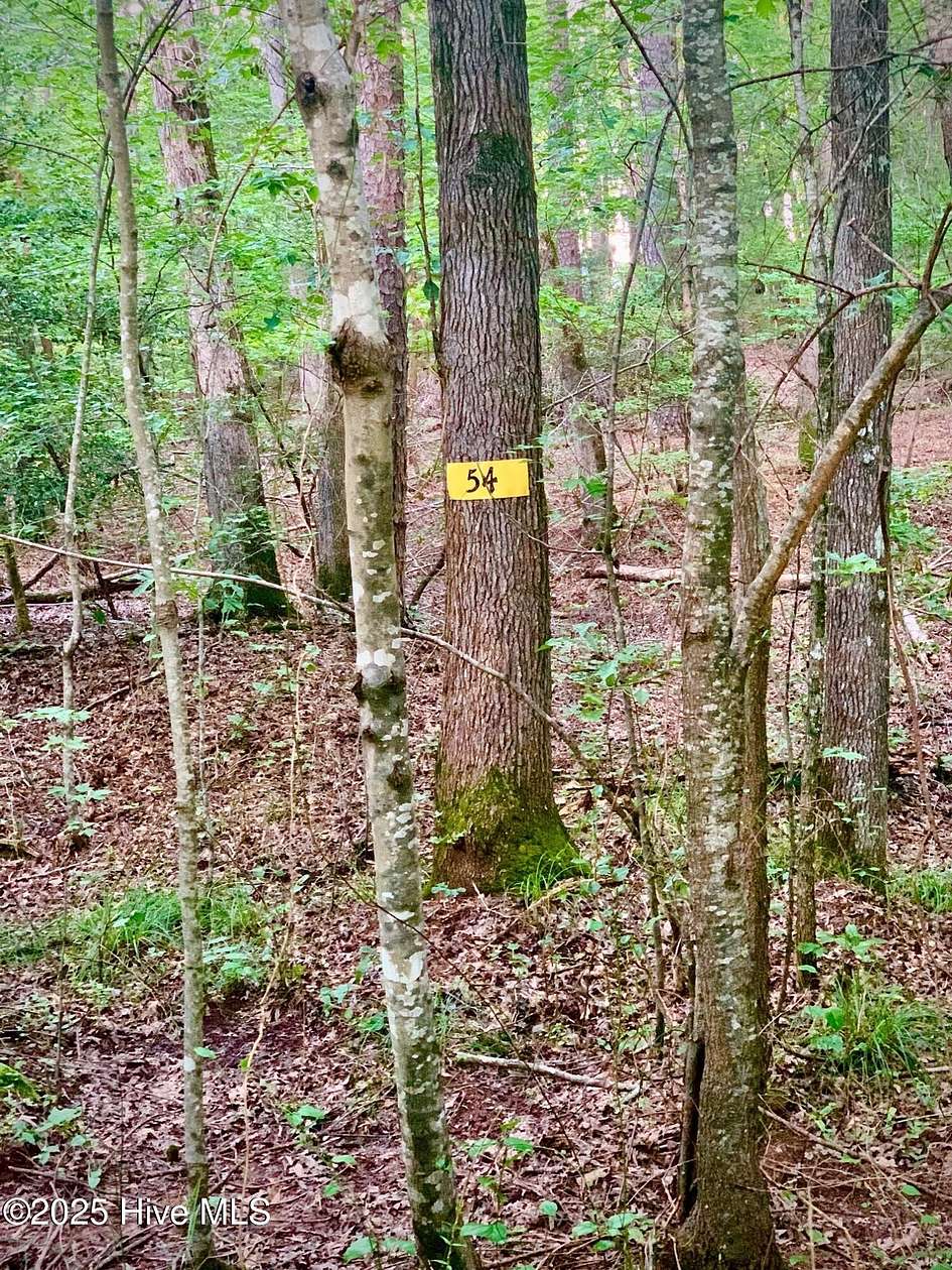 1.2 Acres of Residential Land for Sale in Carthage, North Carolina