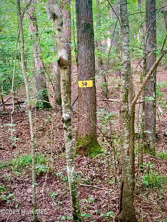 1.2 Acres of Residential Land for Sale in Carthage, North Carolina