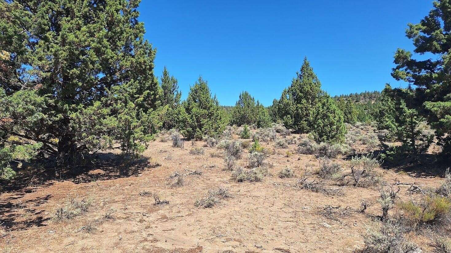 11.3 Acres of Recreational Land for Sale in Bend, Oregon