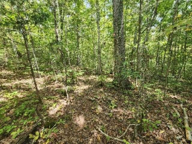 16.2 Acres of Land for Sale in Jamestown, Tennessee