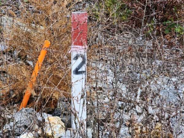 16.2 Acres of Land for Sale in Jamestown, Tennessee