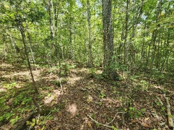 16.2 Acres of Land for Sale in Jamestown, Tennessee