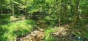 10.2 Acres of Land for Sale in Goochland, Virginia