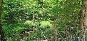 10.2 Acres of Land for Sale in Goochland, Virginia