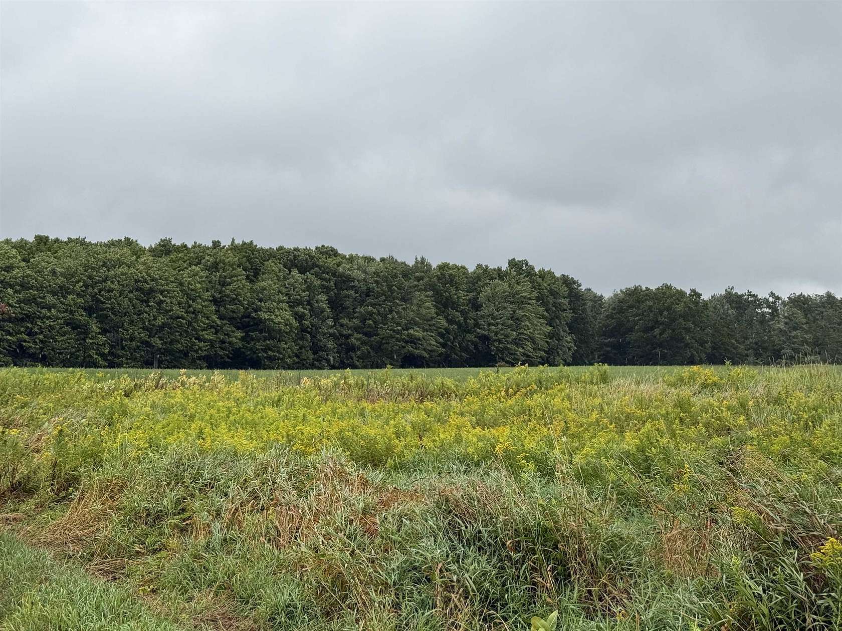 13.2 Acres of Land for Sale in Prescott, Michigan