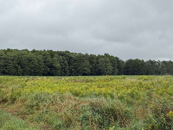 13.2 Acres of Land for Sale in Prescott, Michigan