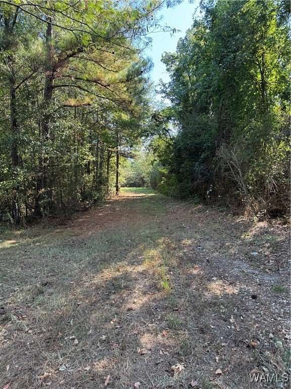 10 Acres of Mixed-Use Land for Sale in Tuscaloosa, Alabama