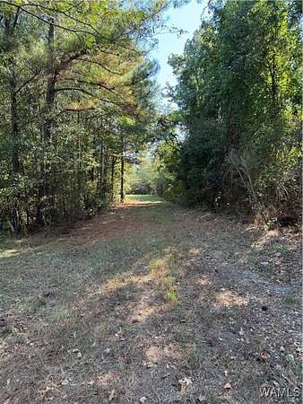 10 Acres of Mixed-Use Land for Sale in Tuscaloosa, Alabama