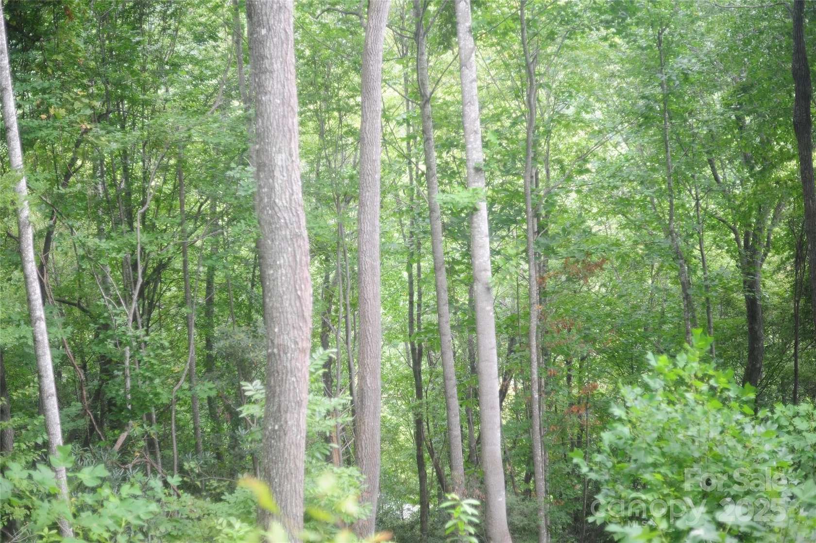1.24 Acres of Residential Land for Sale in Black Mountain, North Carolina