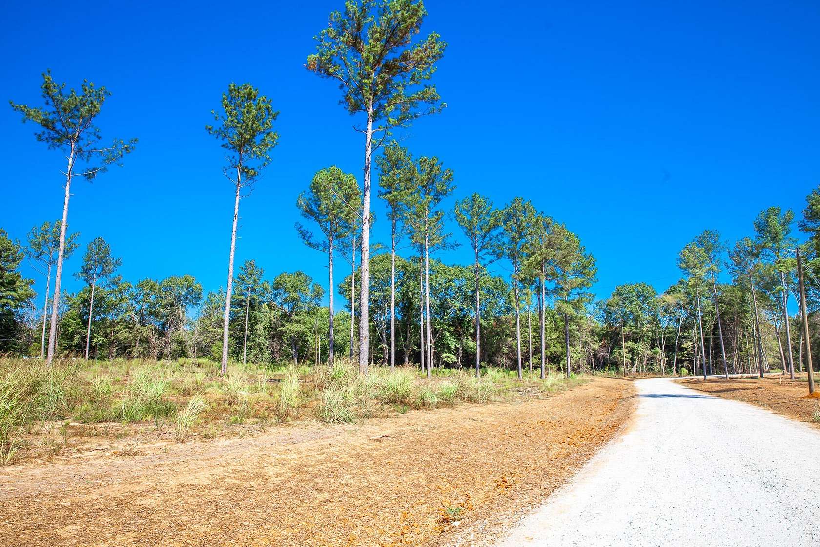 Residential Land for Sale in Appling, Georgia