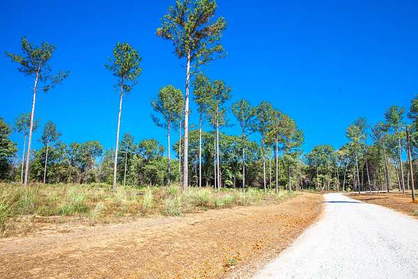 Residential Land for Sale in Appling, Georgia