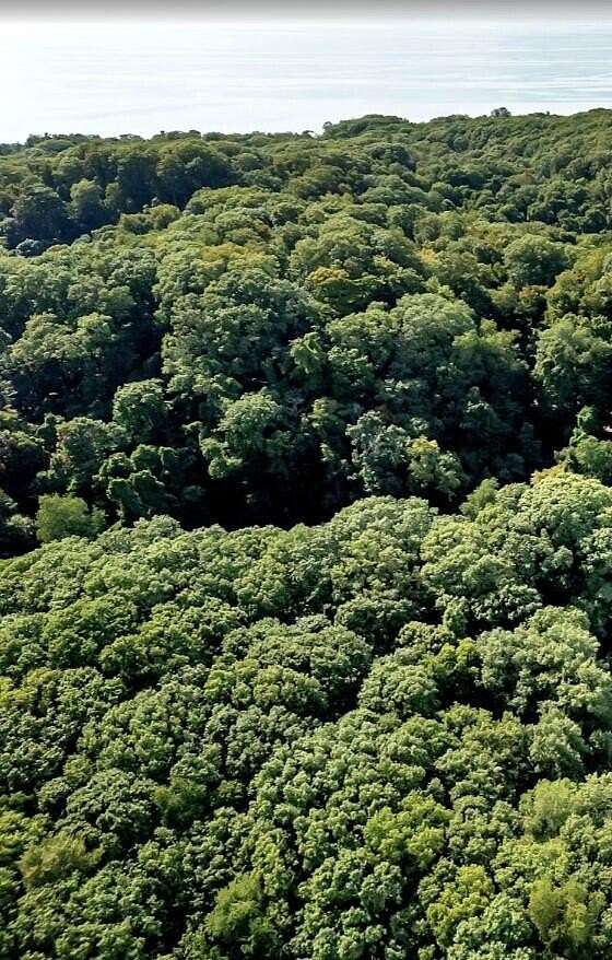 2 Acres of Land for Sale in Grand Haven, Michigan