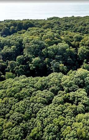 2 Acres of Land for Sale in Grand Haven, Michigan