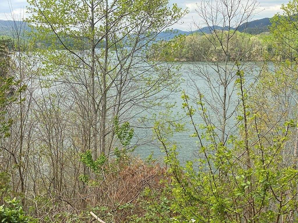 1 Acre of Land for Sale in Butler, Tennessee