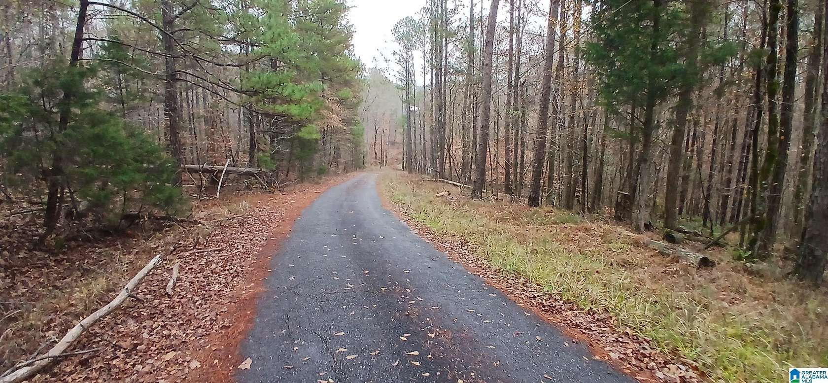 40.5 Acres of Recreational Land for Sale in Argo, Alabama