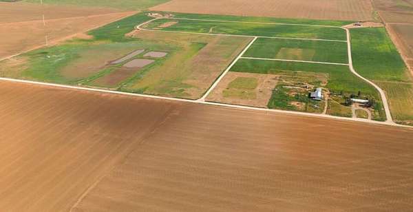 1 Acre of Residential Land for Sale in Ropesville, Texas