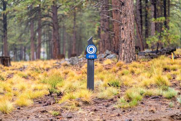 0.33 Acres of Residential Land for Sale in Bend, Oregon