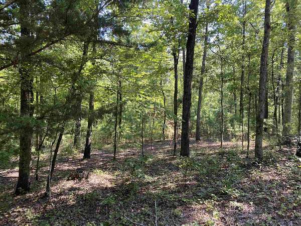 4 Acres of Residential Land for Sale in Mount Ida, Arkansas