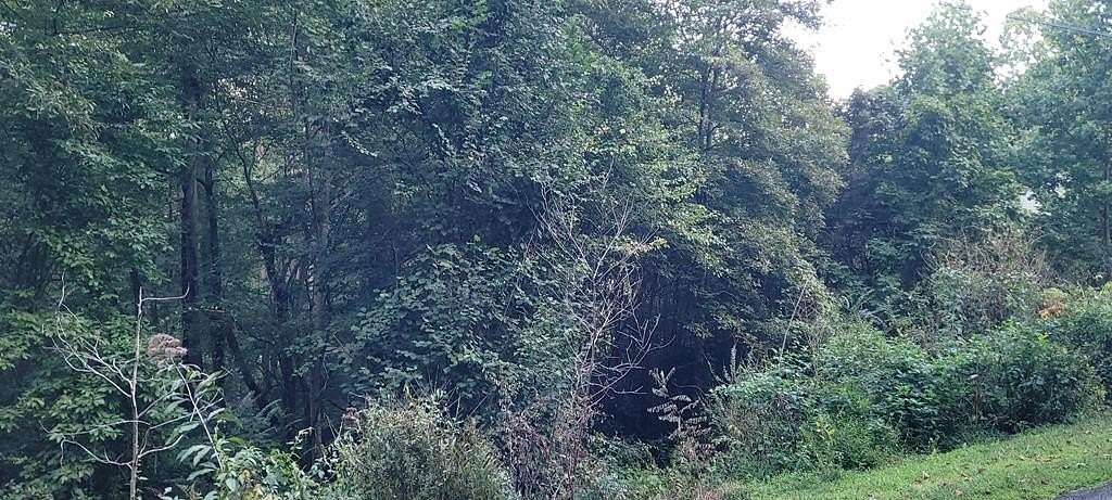 0.48 Acres of Land for Sale in Hayesville, North Carolina