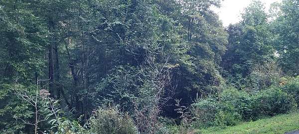 0.48 Acres of Land for Sale in Hayesville, North Carolina