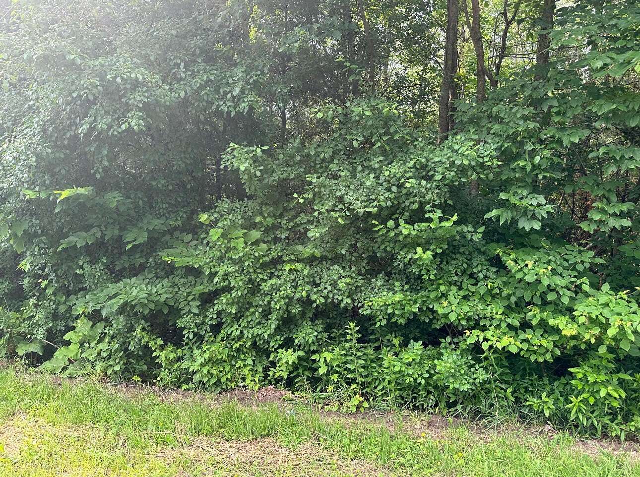 0.34 Acres of Land for Sale in Plattsburgh, New York