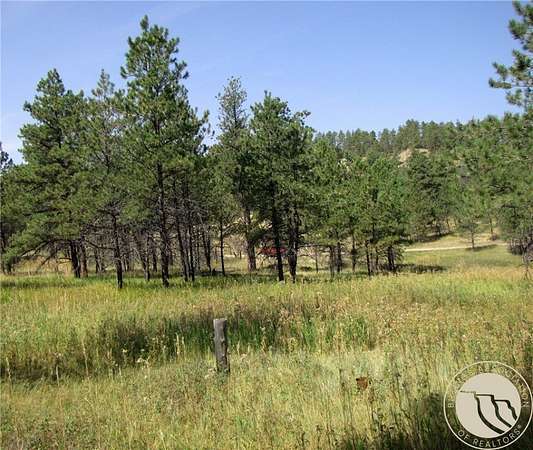 40.2 Acres of Recreational Land for Sale in Roundup, Montana