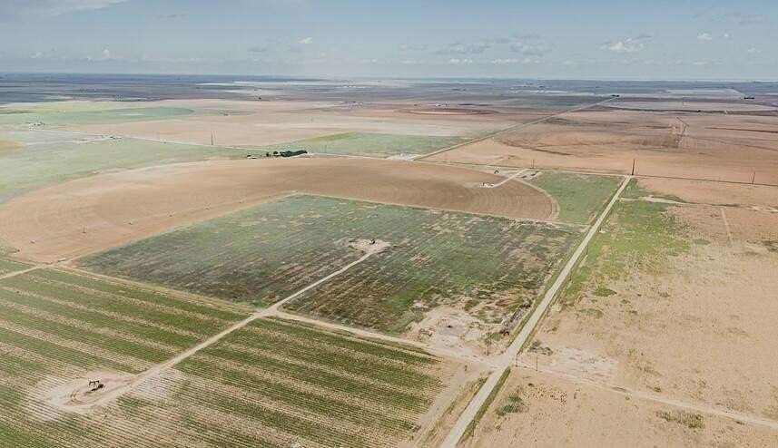 11 Acres of Land for Sale in Levelland, Texas