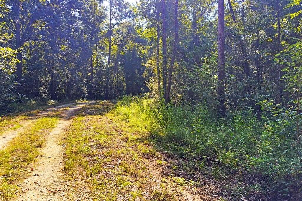 0.5 Acres of Residential Land for Sale in Wewahitchka, Florida