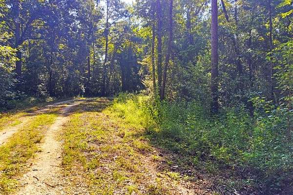 0.5 Acres of Residential Land for Sale in Wewahitchka, Florida