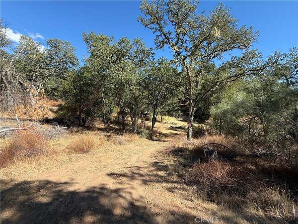 10 Acres of Recreational Land for Sale in Bradley, California