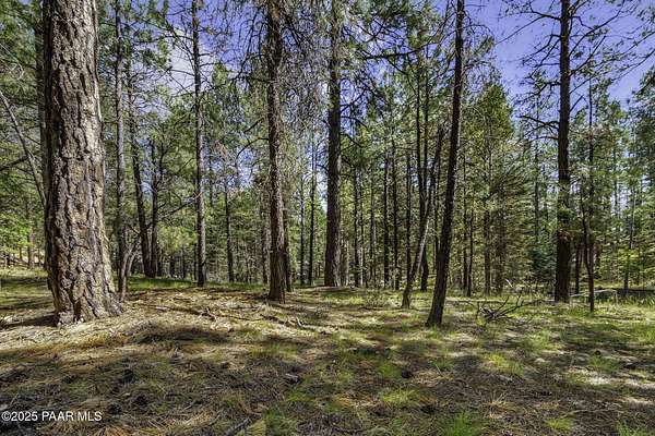 2 Acres of Residential Land for Sale in Prescott, Arizona