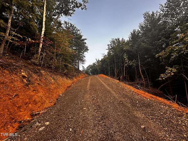 20 Acres of Recreational Land for Sale in Greeneville, Tennessee