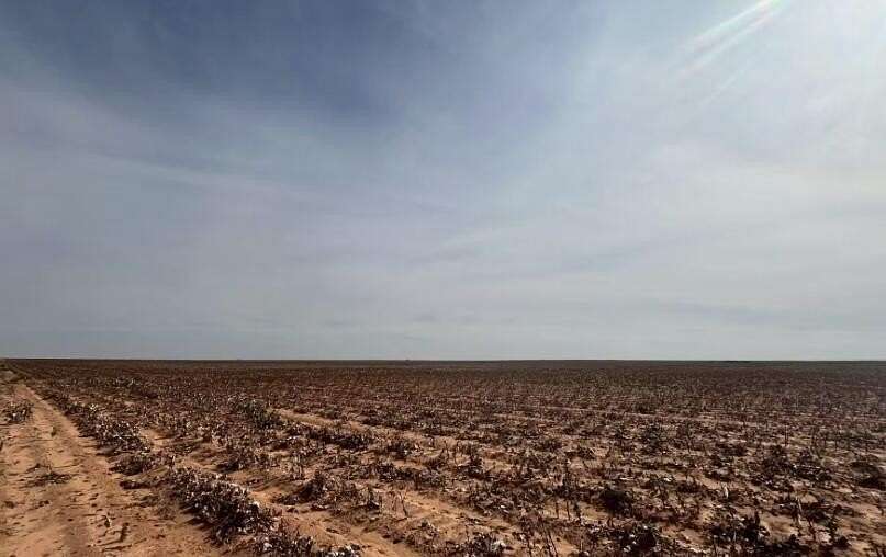 10 Acres of Residential Land for Sale in Brownfield, Texas