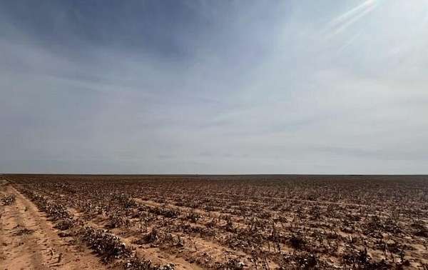 10 Acres of Residential Land for Sale in Brownfield, Texas